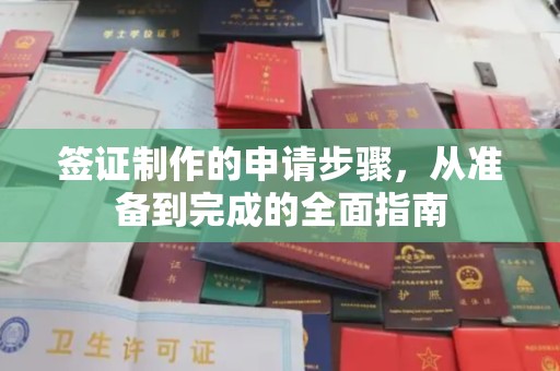 盘县签证制作的申请步骤，从准备到完成的全面指南