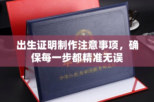 盘县出生证明制作注意事项，确保每一步都精准无误