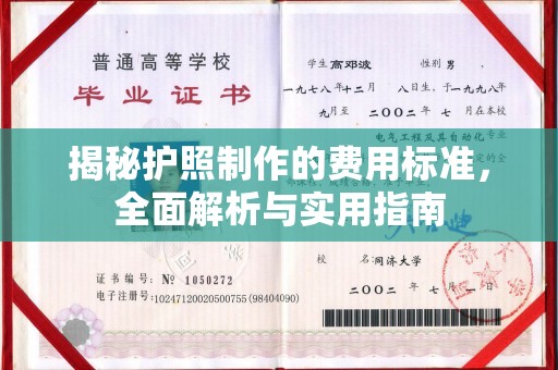 盘县揭秘护照制作的费用标准，全面解析与实用指南