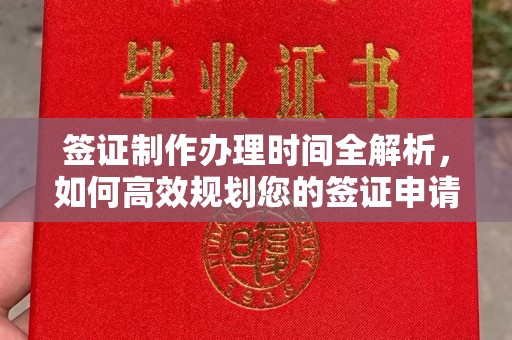 盘县签证制作办理时间全解析，如何高效规划您的签证申请流程