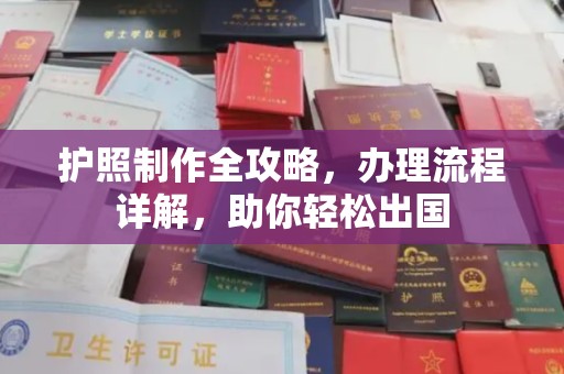 盘县护照制作全攻略，办理流程详解，助你轻松出国